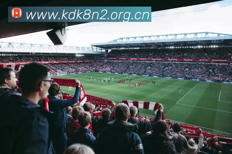 App Interface Preview